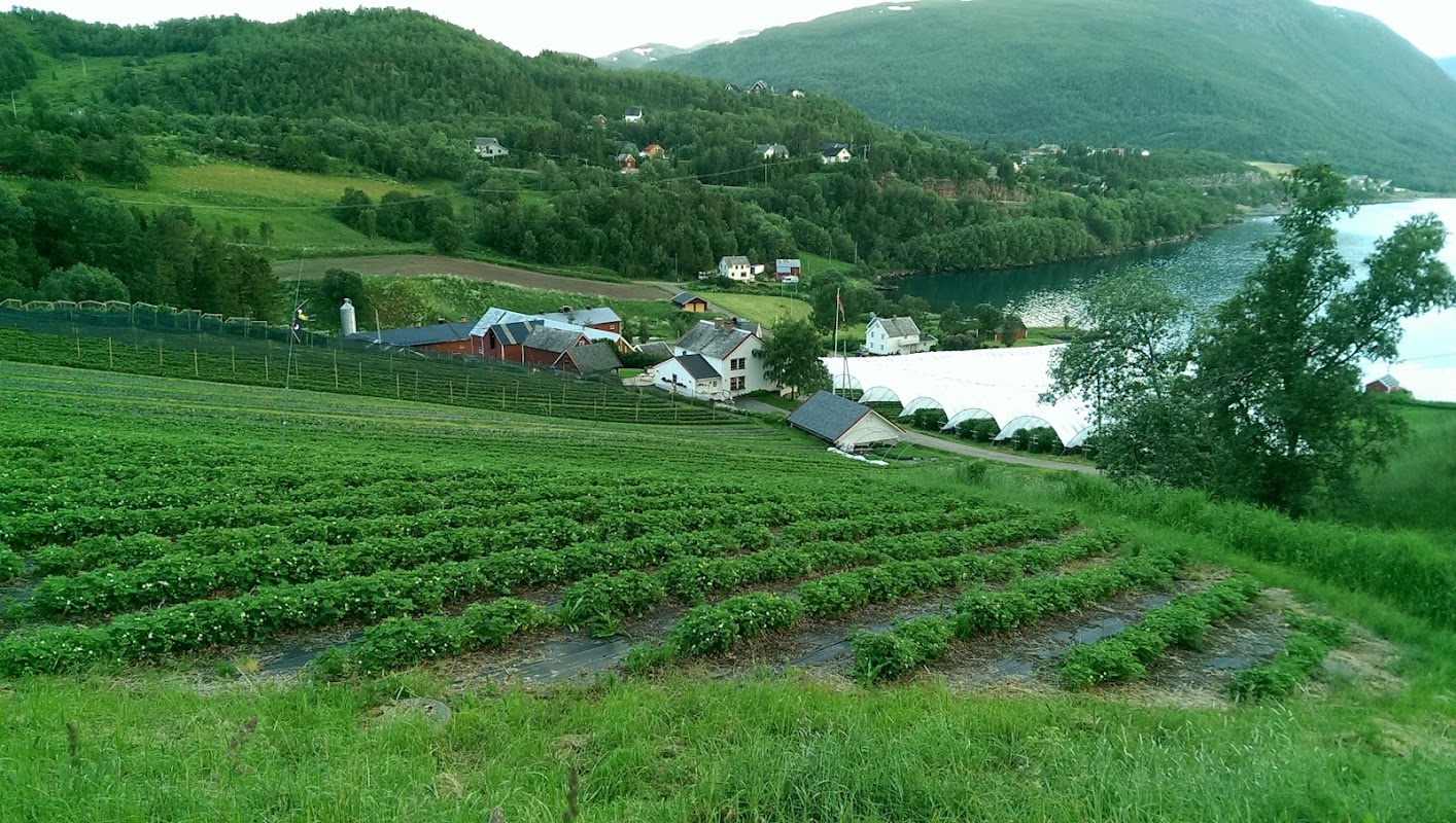 Vik Gård