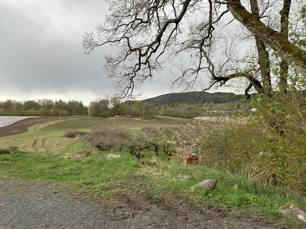Øvre Ringi gård