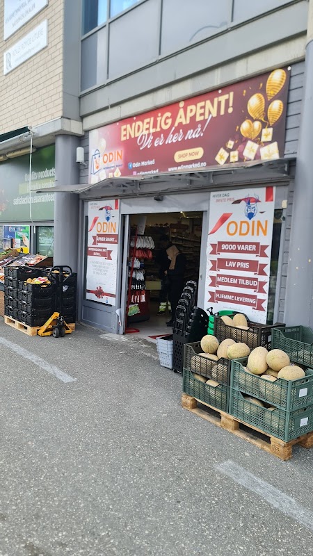 Lille Asia Ziri