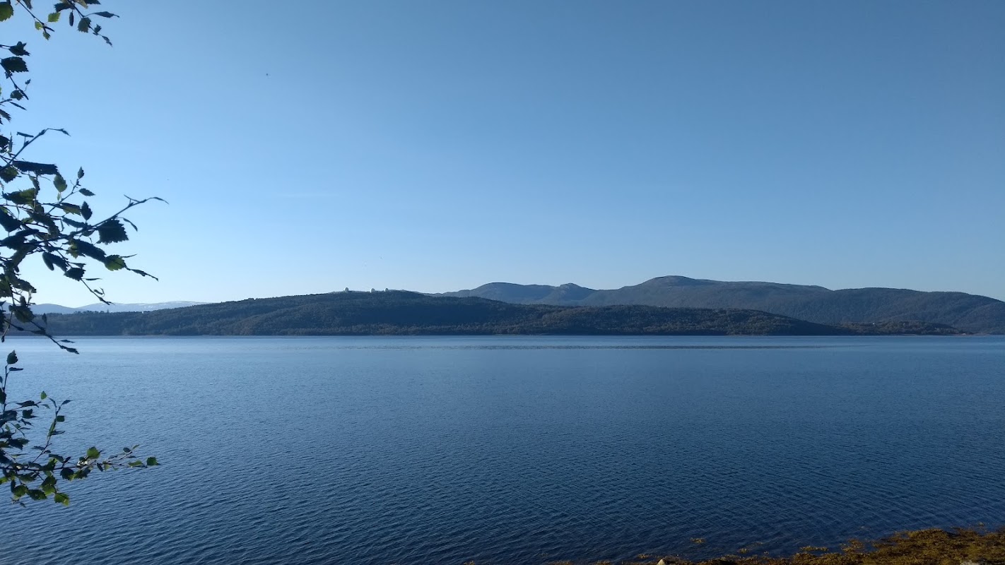 Tørresvik gård DA