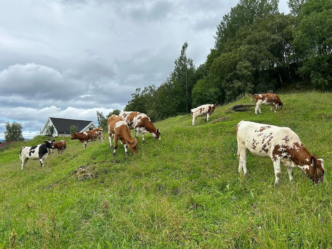 Høstadsand gårdsutsalg