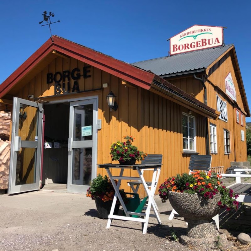 Borgebua Gårdsbutikk