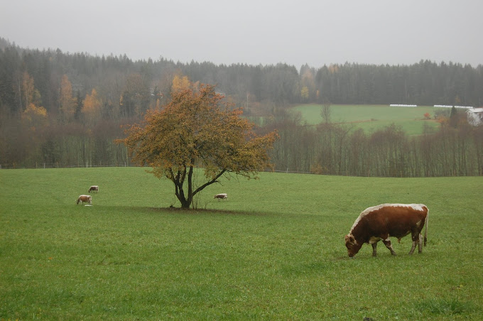 Haugerud Gård
