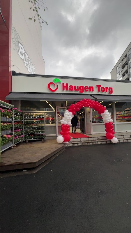 Haugen Torg