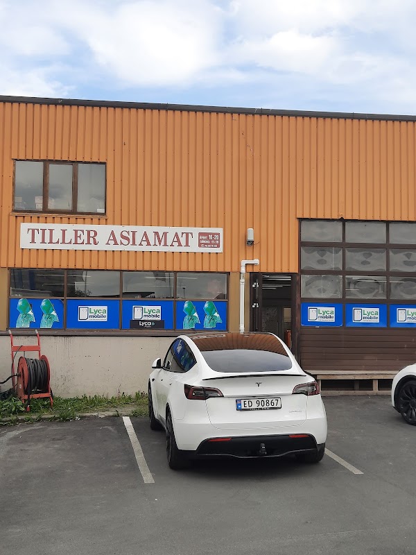 Tiller Asiamat