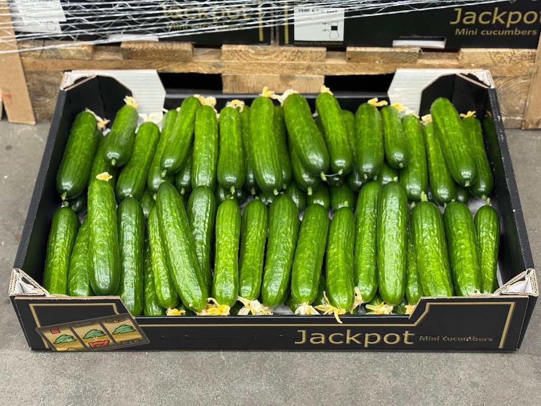 Best Fresh Food