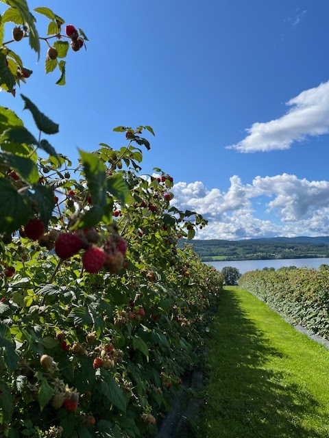 Nordre Sand Hovedgard "Bringebærgården"