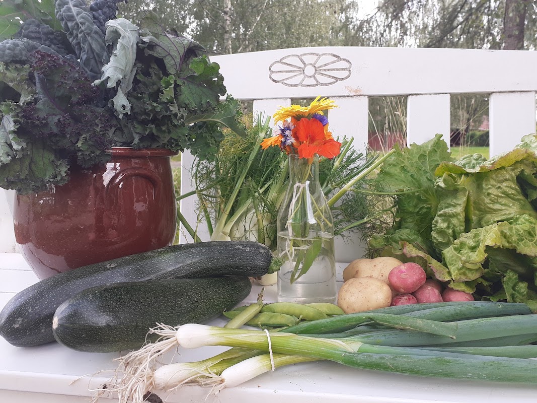 Økologisk Gårdsutsalg